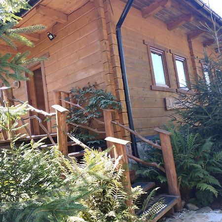 Apartament Nad Potokiem Висла Екстериор снимка