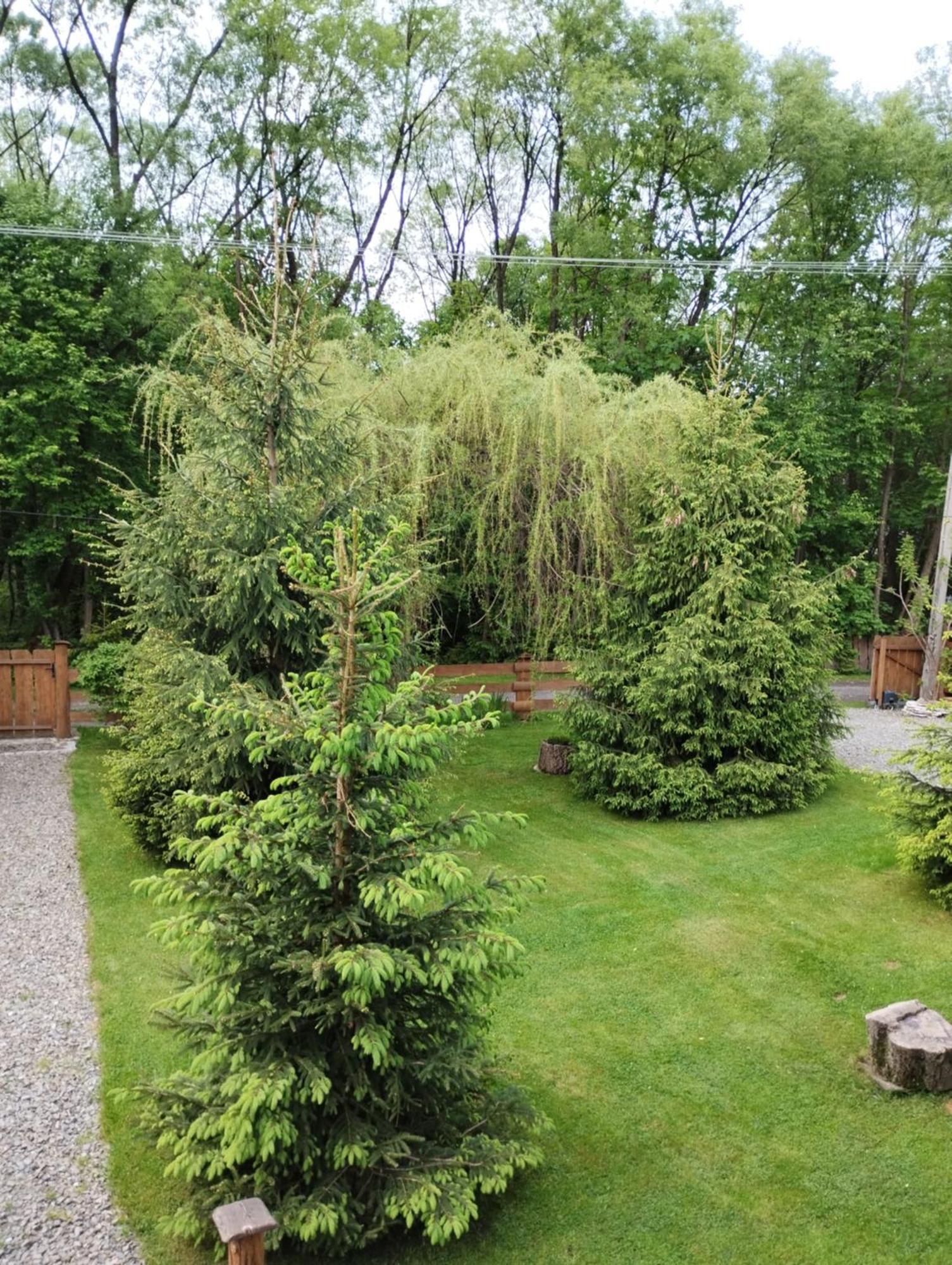 Apartament Nad Potokiem Висла Екстериор снимка